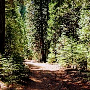 Nice hike