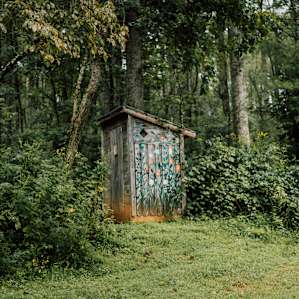 Nestled in on a Forest Farm