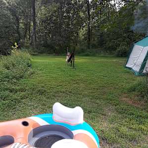 HipCamp Homestead