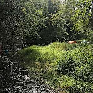 Cabin Site 1