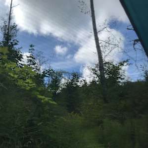 Cabin Site 1