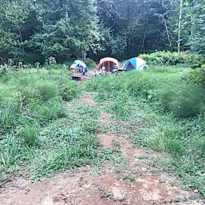 Cabin Site 1