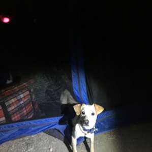 Adventure Park Campsites!