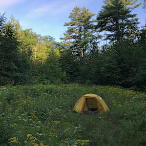 Nice peaceful spot at the campsite