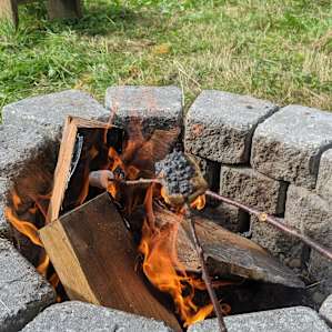 Camping at Hay Barn Creek, Hobart