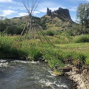 The Willows Camping