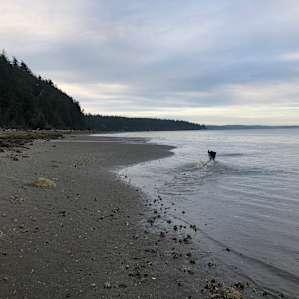 Low tide, lot of time to play