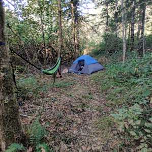East Creek Art Retreat Camping