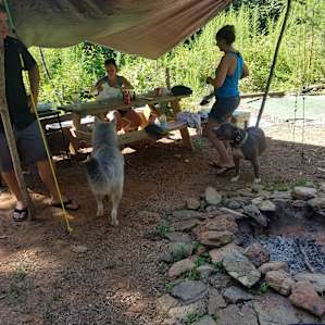 Fawkes Camp