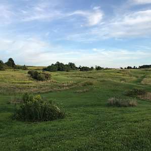 From the disc golf course. So beautiful!