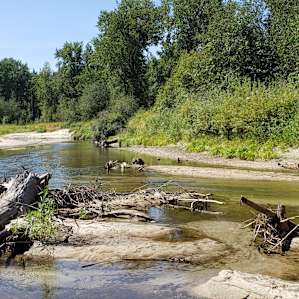 Park & Camp right on the Pack River