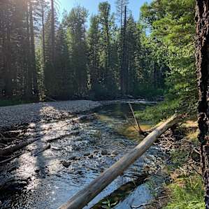 Sand Flat Campground