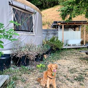 Loved the outdoor shower/tub + the dog friendly space