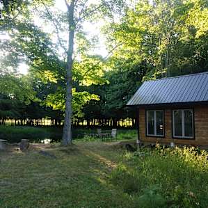 Firefly woods