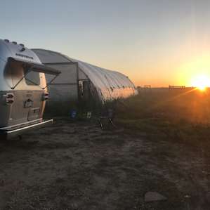 RV50amp/Udder Joy and Milkiness