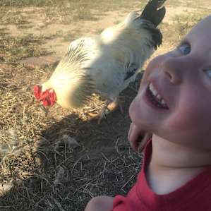 RV50amp/Udder Joy and Milkiness