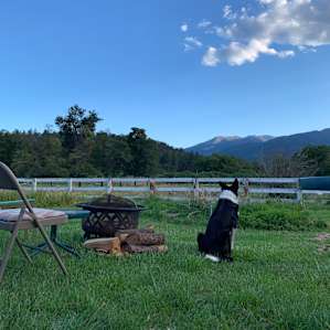 Skyelark Ranch Airstream