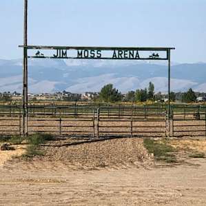 Jim Moss Arena and Camping