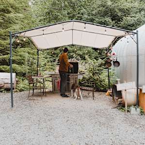 Olympic Rainforest retreat camp 4b