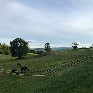 Gardens of Evernest