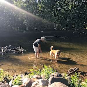 The river below was perfect for a safe swim with our dig