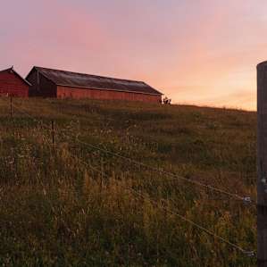 The farm on the hill