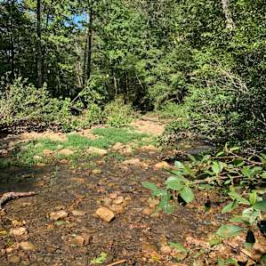 Kings River Falls Camping