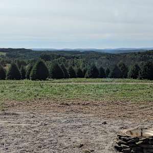 This a view from our afternoon hike at the top of the hill (Distant View camp site)