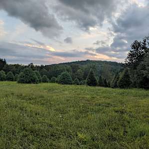 View from Backcountry Shelter