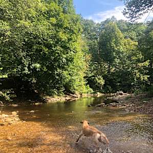 Turkey Creek Cove