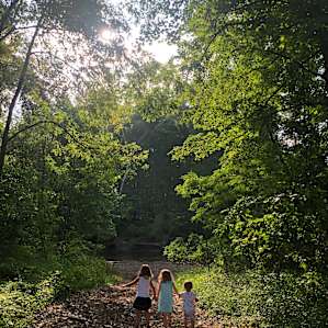 Turkey Creek Cove
