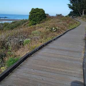 Up the Beaten Path