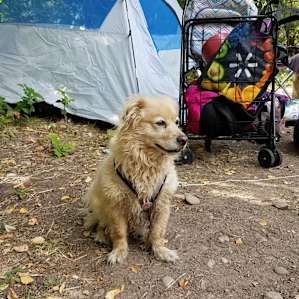 Camp Jeremiah Johnson @Hobble Creek