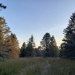 Camp Stonewood Ranch