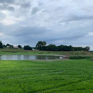 Bald Eagle Farm on the Patuxent