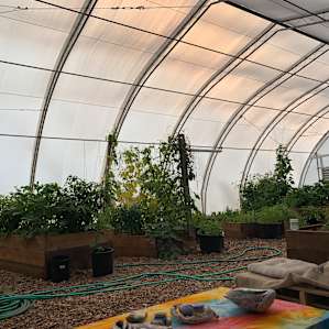 In Tents Experience!