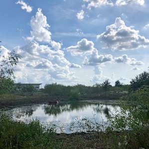This pond is on sire, in between the host's house and where we camped. If you look close enough, you can see a cow cooling off.