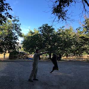 Camp at the goat farm
