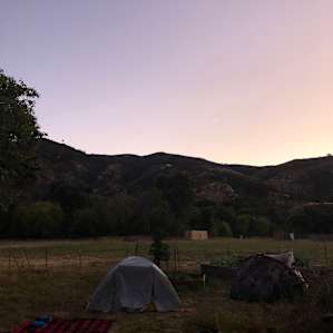 Camp at the goat farm