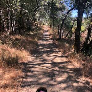 Great hiking trails all over the grounds that are well kept. Some are pretty challenging but fun!