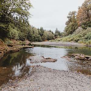 Humptulips Valley river camp