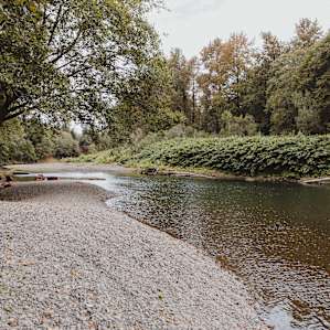 Humptulips Valley river camp
