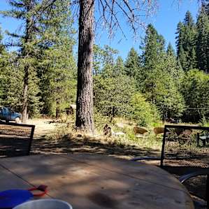 Bell Tent Creek Side Camping #2