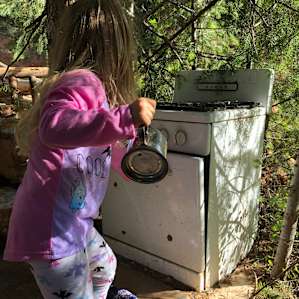 Forest play house goals