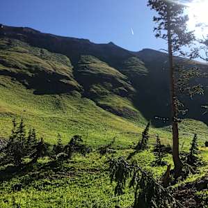 Imogene Pass Eco-Logde Mount Hayden