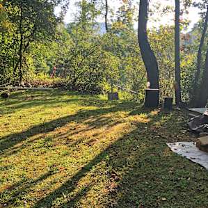 Shady campsite