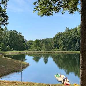 Great place to swim and kayak if you have a kayak!