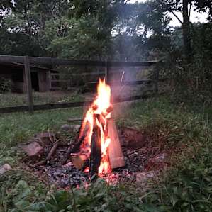 Honey Hollow Farmstay