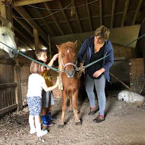 Honey Hollow Farmstay