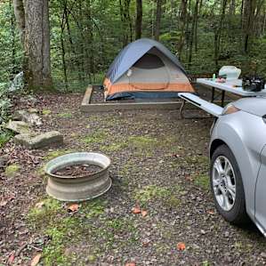 Our tent site. Plenty of room for 2-4 people! Also had plenty of privacy between us and the neighbors!